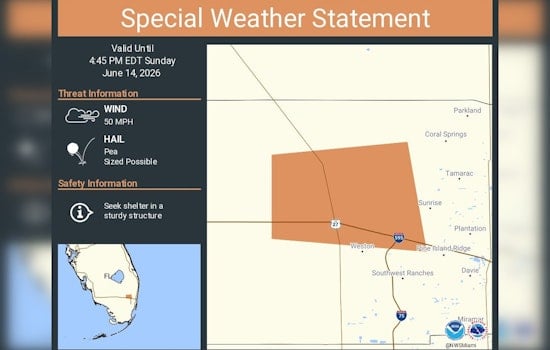 Hail And 50 MPH Gusts Rattle Broward On Stormy Sunday