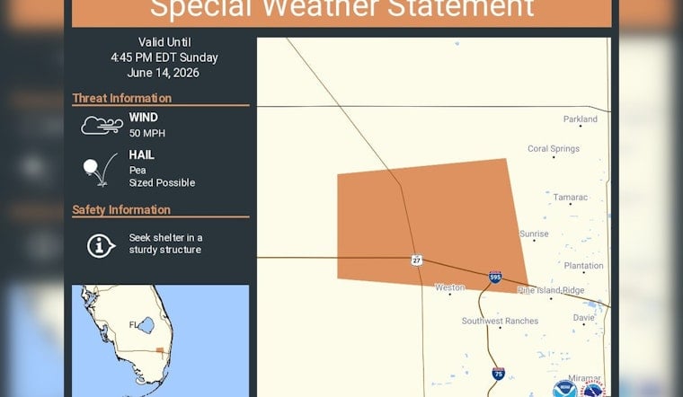 Hail And 50 MPH Gusts Rattle Broward On Stormy Sunday