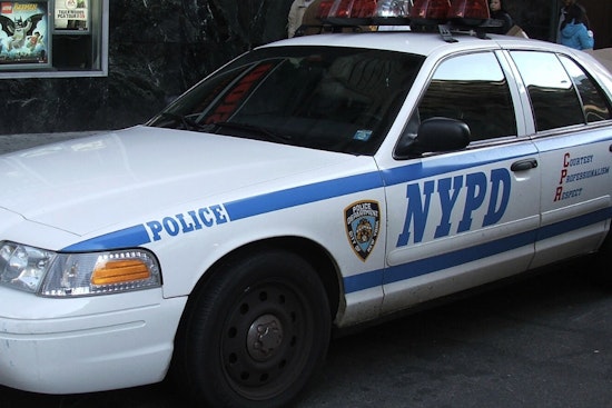 Harlem Theft Suspect Takes Wild Plunge Into Harlem Meer In Central Park Chase