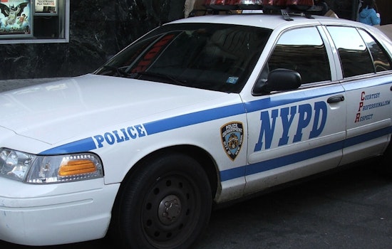 Harlem Theft Suspect Takes Wild Plunge Into Harlem Meer In Central Park Chase