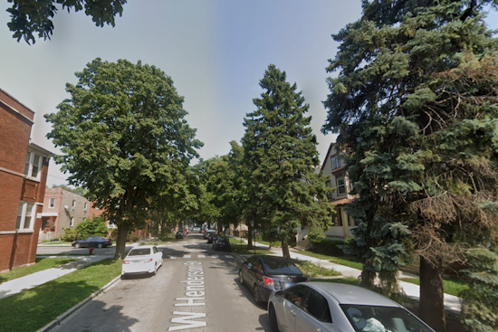 Henderson Street Chaos as Giant Tree Slams Into Van Packed With Kids