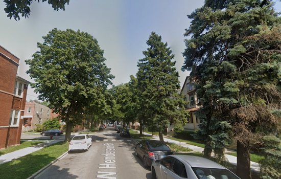 Henderson Street Chaos as Giant Tree Slams Into Van Packed With Kids