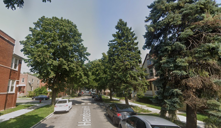 Henderson Street Chaos as Giant Tree Slams Into Van Packed With Kids