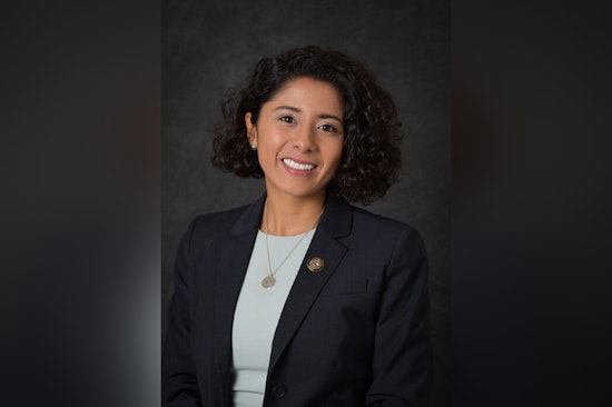 Hidalgo’s Mental Health Day Plan Sparks Fight at Harris County Hall