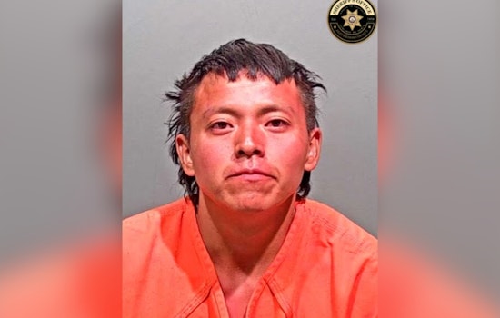 Highway Brush Blaze: Deputies Nab Man Over Ravine Fire In Jefferson County