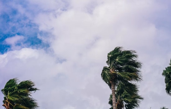 Honolulu Gets Whipped By Trades As Quick Showers Pop