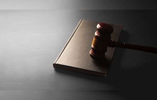 ‘Horrific’ McHenry Park Mauling: Judge Convicts Wisconsin Man In Near-Fatal Dog Attack