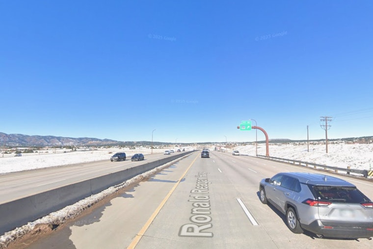 I-25 Carnage Near Monument as 250-Pound Bear Is Struck and Killed