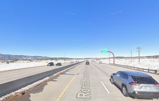 I-25 Carnage Near Monument as 250-Pound Bear Is Struck and Killed