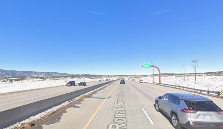 I-25 Carnage Near Monument as 250-Pound Bear Is Struck and Killed