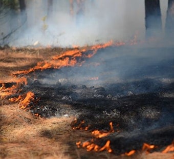 Idaho Regulators Green-Light Rocky Mountain Power Wildfire Game Plan
