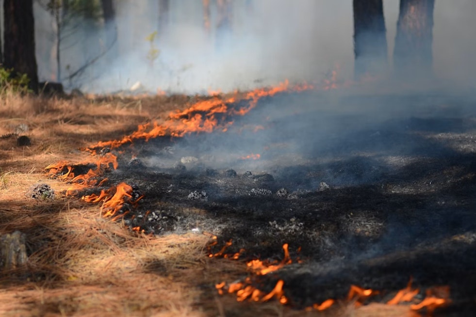 Idaho Regulators Green-Light Rocky Mountain Power Wildfire Game Plan