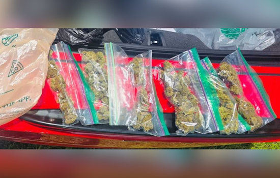 Indian River Deputies Say 79-Year-Old’s Red Corvette Cruise Ended In Drug Bust