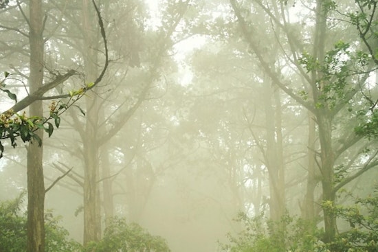 Indy Wakes Up In A Fog As Brutal Heat Wave Bear-Hugs City All Week