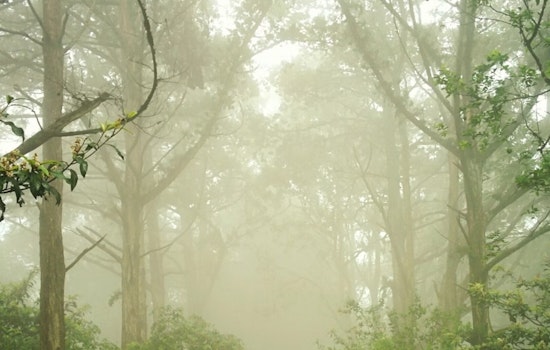 Indy Wakes Up In A Fog As Brutal Heat Wave Bear-Hugs City All Week
