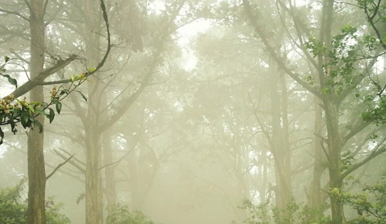Indy Wakes Up In A Fog As Brutal Heat Wave Bear-Hugs City All Week