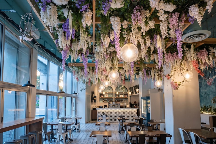 Chicago's Most Instagrammable Brunch Spot Was Curing Bacon Without a Permit While 50 Roaches Ran the Kitchen