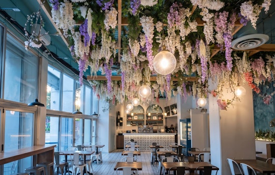 Chicago's Most Instagrammable Brunch Spot Was Curing Bacon Without a Permit While 50 Roaches Ran the Kitchen