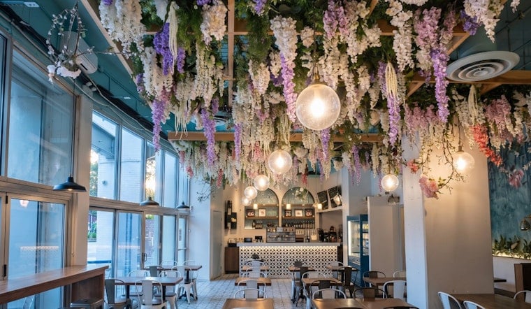 Chicago's Most Instagrammable Brunch Spot Was Curing Bacon Without a Permit While 50 Roaches Ran the Kitchen