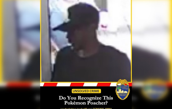 Pokémon Card Crook Bolts With $7,000 Haul From Jacksonville Hotel