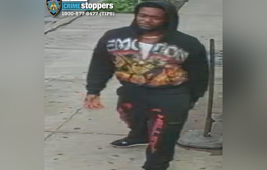 Jamaica Sidewalk Heist: Thief Sucker-Punches 66-Year-Old, Snags $5K