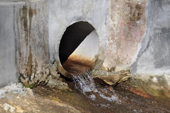 Judge Orders City To Blast Sewage Spill Alerts To Long-Suffering New Yorkers