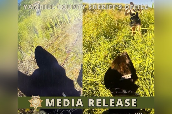 K9 Delta Sniffs Out Trio Of Suspects In Two-Day Yamhill County Manhunt