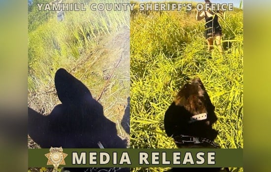 K9 Delta Sniffs Out Trio Of Suspects In Two-Day Yamhill County Manhunt