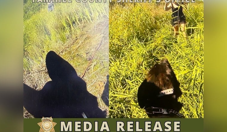 K9 Delta Sniffs Out Trio Of Suspects In Two-Day Yamhill County Manhunt