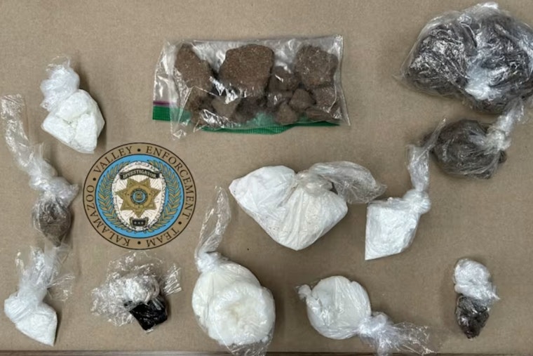 Kalamazoo Man on Supervised Release Snagged in Six-Pound Drug Bust