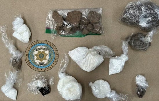 Kalamazoo Man on Supervised Release Snagged in Six-Pound Drug Bust