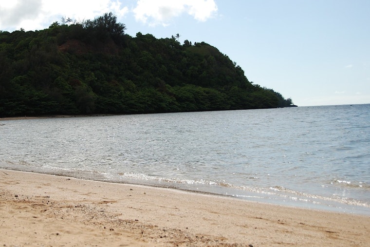 Stinging Invasion At Anini, Kauai Tells Beachgoers To Stay Out Of The Water