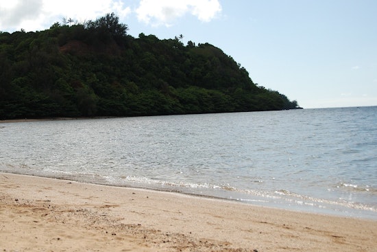 Stinging Invasion At Anini, Kauai Tells Beachgoers To Stay Out Of The Water