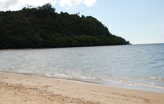 Stinging Invasion At Anini, Kauai Tells Beachgoers To Stay Out Of The Water