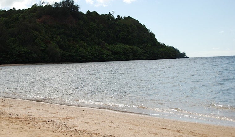 Stinging Invasion At Anini, Kauai Tells Beachgoers To Stay Out Of The Water