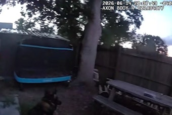 Knife-Toting Teens Nabbed After Largo K-9 Crashes Enclave Car-Prowl Spree
