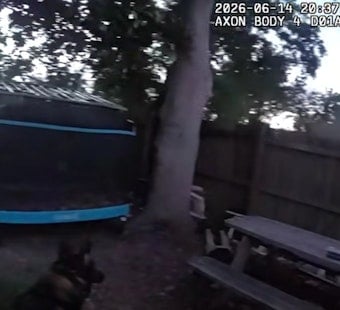 Knife-Toting Teens Nabbed After Largo K-9 Crashes Enclave Car-Prowl Spree