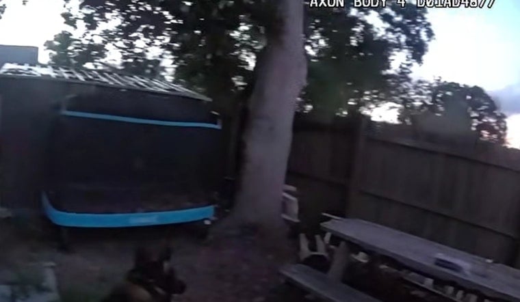 Knife-Toting Teens Nabbed After Largo K-9 Crashes Enclave Car-Prowl Spree