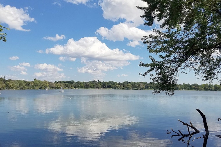 Lake Nokomis Braces For Wave Of Dead Fish On The Shore