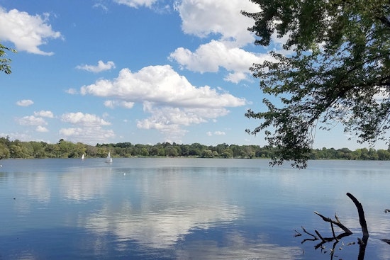 Lake Nokomis Braces For Wave Of Dead Fish On The Shore