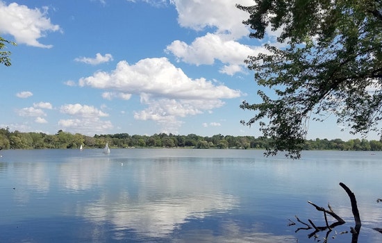 Lake Nokomis Braces For Wave Of Dead Fish On The Shore