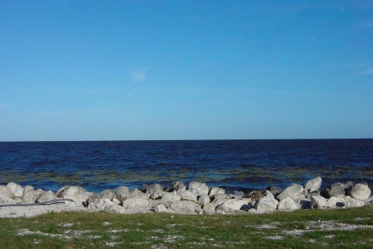 Lake Okeechobee Turns Toxic, Triggers Health Alert