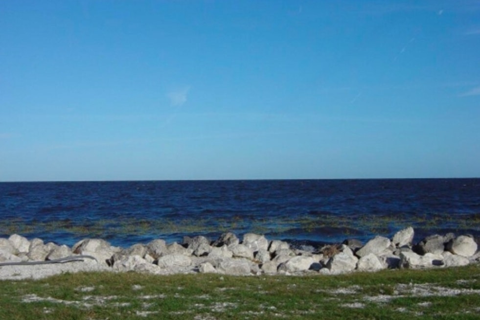Lake Okeechobee Turns Toxic, Triggers Health Alert