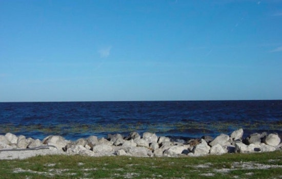 Lake Okeechobee Turns Toxic, Triggers Health Alert