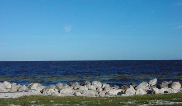 Lake Okeechobee Turns Toxic, Triggers Health Alert