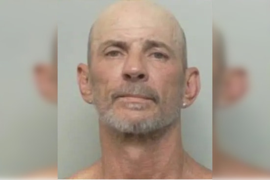 Lakeland Felon Holed Up In Backyard Shed Caves After K9 Threat