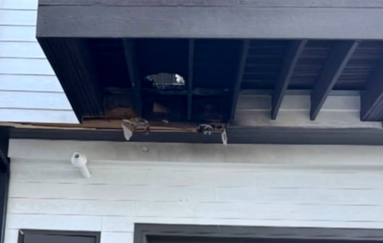 Lakewood Smokers Put On Notice After Tossed Cigarette Ignites Apartment Planter