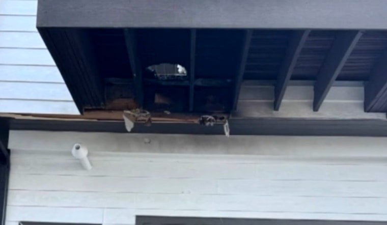 Lakewood Smokers Put On Notice After Tossed Cigarette Ignites Apartment Planter