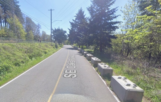 Late-Night Gunfire at Sellwood Riverfront Park Leaves Teen Wounded