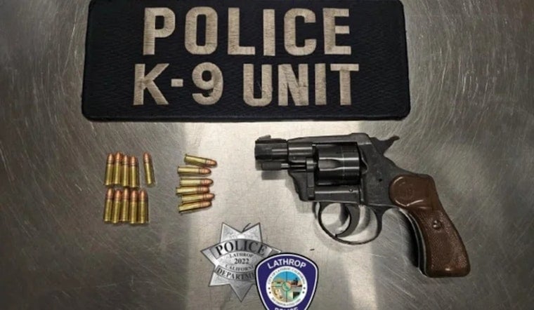 Lathrop Cops Collar Trio After Business Assault, Find Loaded Revolver in Car